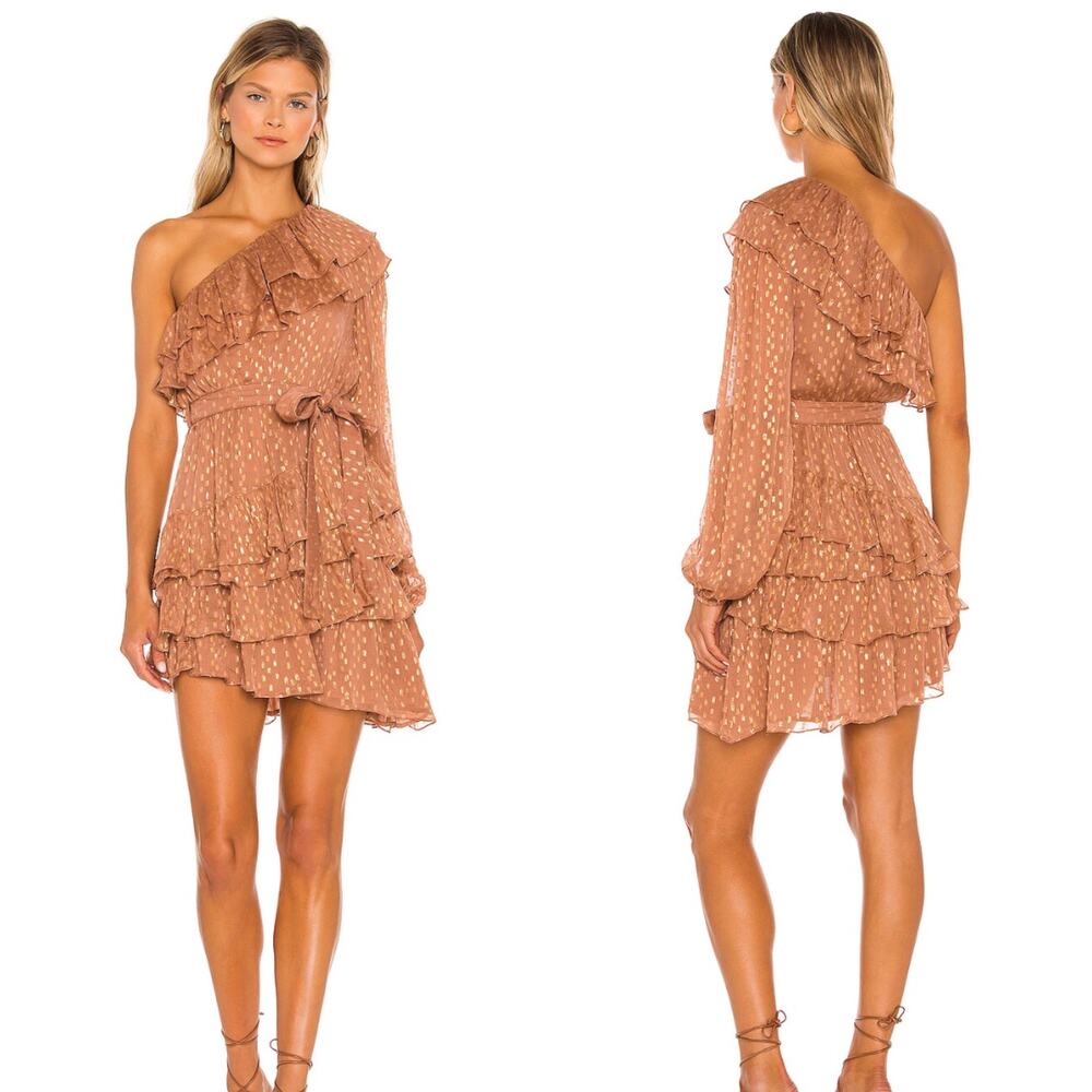 NWT Rococo Sand Aine One Shoulder Dress in Tan Size Large